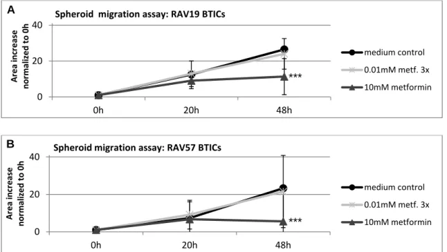 Figure  15:  Relative  increase  of  spheroid  area  of  proneural  BTICs  RAV19  (A)  and  RAV57  (B)  after  48h  treatment  with  different  concentrations  of  metformin:  Spheroid  sizes  were  measured  after  20  and  48  hs