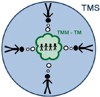 Figure  1.  TMM  team  model  (TMM-TM)  as  part  of  a  team’s  transactive  memory  system  (TMS)