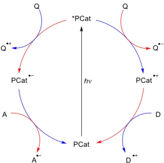 Figure  2.  General  scheme  for  photoredox  catalysis  (PCat = photoredox  catalyst,  Q = quencher,  A = acceptor,  D = donor,  blue: oxidative  quenching  cycle,  red: reductive  quenching cycle)