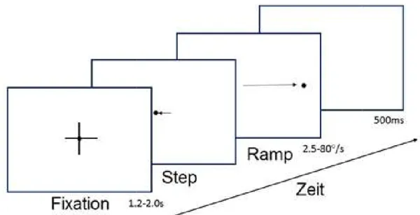 Abbildung 6. Zeitlicher Ablauf des „Step