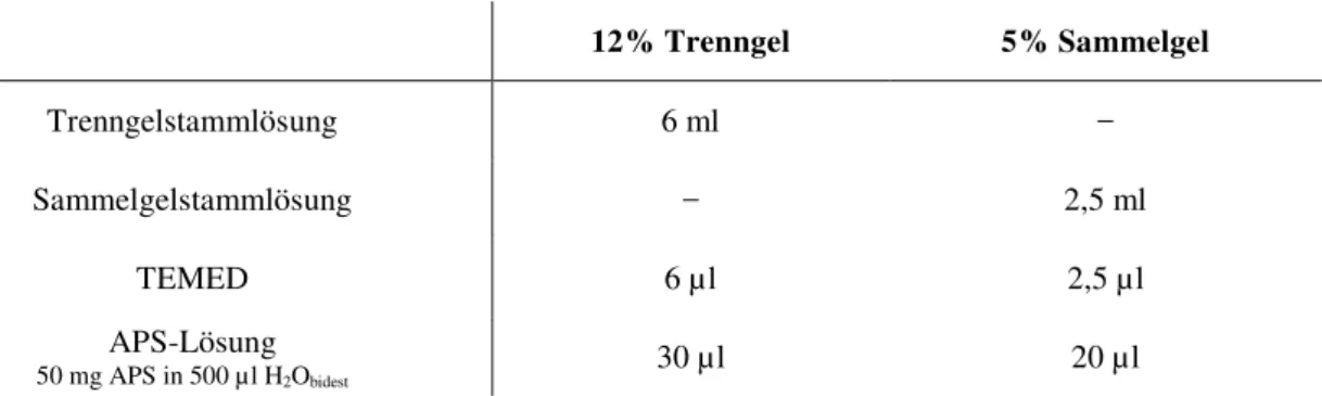 Tabelle 4-3: Gellösungen für…  12% Trenngel  5% Sammelgel  Trenngelstammlösung  6 ml  −  Sammelgelstammlösung  −  2,5 ml  TEMED  6 µl  2,5 µl  APS-Lösung    50 mg APS in 500 µl H 2 O bidest 30 µl  20 µl 