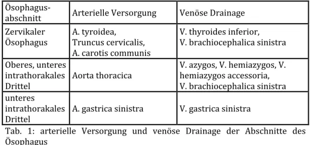 Tab.  1:  arterielle  Versorgung  und  venöse  Drainage  der  Abschnitte  des  Ösophagus 