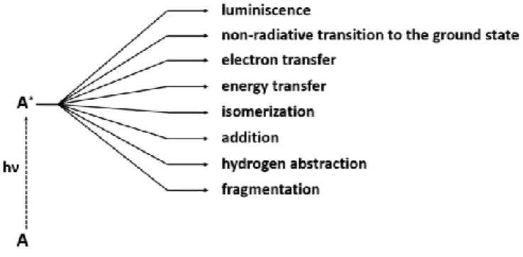 Figure 1.2: Excited state reaction paths. [6]
