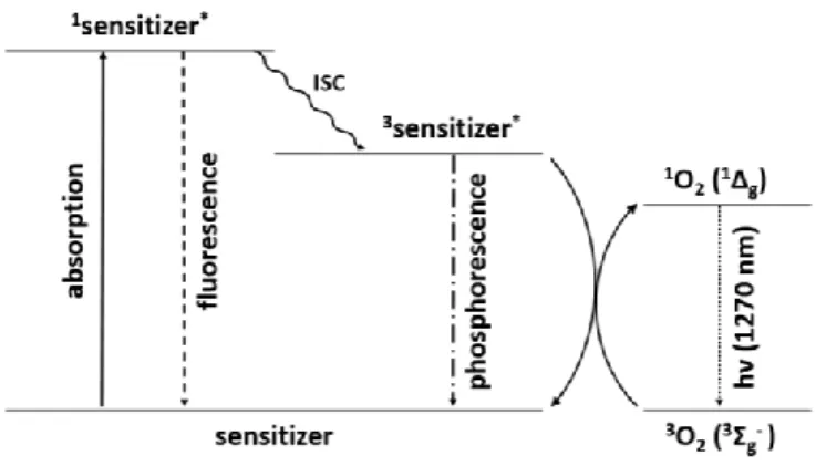 Figure 1.7: J ABLONSKI  diagram for the photocatalytic excitation of molecular oxygen 