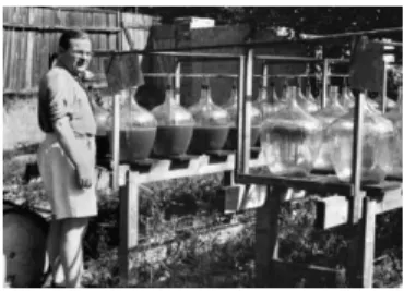 Figure 1.8: Schenck next to his photo oxidation pilot plant in his garden. [37]