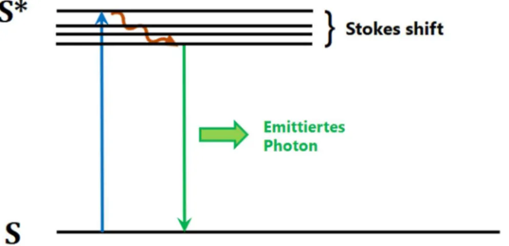 Abb. 7: Jablonski-Diagramm der Energieübergänge bei der Fluoreszenz 