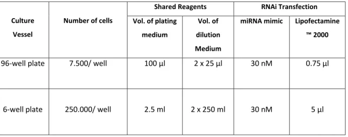 Table 17. Components for miRNA Transfection with Lipofectamine™ 2000. Table adapted from Invitrogen.com