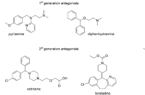 Figure 1.5 Structures of selected H 1 R agonist and antagonists.   
