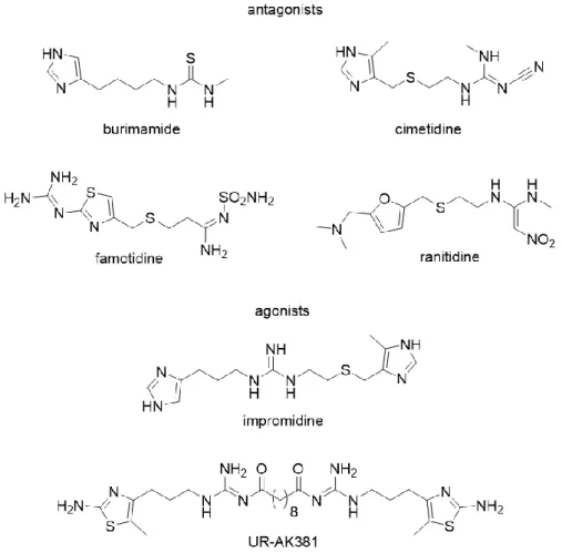 Figure 1.6 Structures of selected H 2 R agonists and antagonists.   