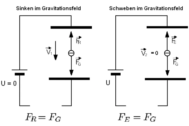 Abb. 1 – schematische Kräfte-Superposition beim Sinken/Schweben im Gravitationsfeld  Durchführung nach Abb