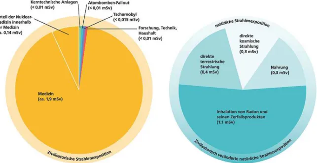 Abbildung  3.  Mittlere  effektive  Jahresdosis 6   durch  ionisierende  Strahlung  im  Jahr  2003  gemittelt über die Bevölkerung Deutschlands (aus [BMU])