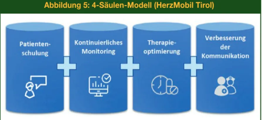 Abbildung 5: 4-Säulen-Modell (HerzMobil Tirol)