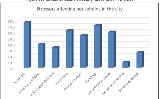 Figure 5: Multiple stressors affecting households in the city 