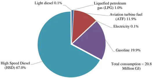 Figure 1: Transport sector energy consumption by fuel types in Nepal (2008/09) 
