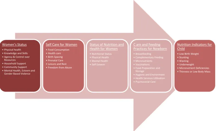 Figure 1 - Framework: Implications of Women's Status on Nutrition 7