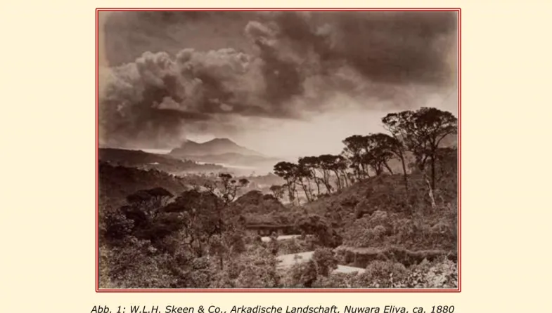 Abb. 1: W.L.H. Skeen &amp; Co., Arkadische Landschaft, Nuwara Eliya, ca. 1880  Albuminabzug, 21.5 x 27.2 cm, Sammlung Günther Heil 