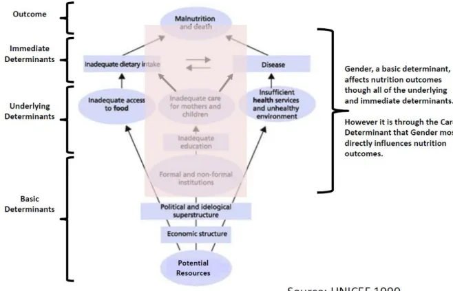 Figure 4 -- Determinants of Undernutrition 