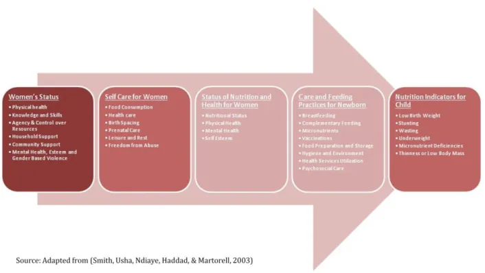 Figure 5 –Implication of Women's Status on Care  