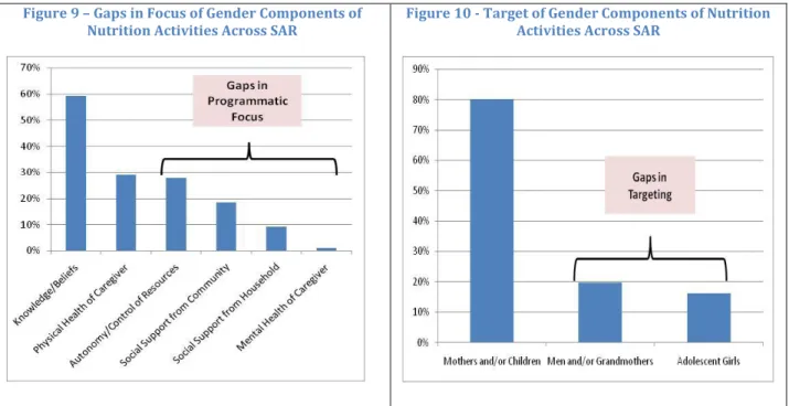 Figure 9 – Gaps in Focus of Gender Components of 