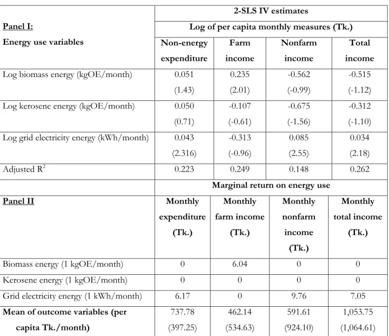 Table 3: Impacts of energy use on household welfare outcomes by source (N=2,388) 