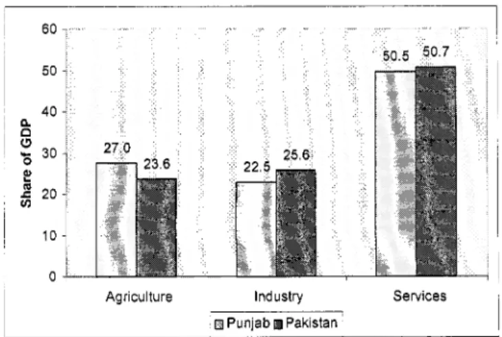 Figure 1.1:  Composition of Gross Domestic  Product  in  2001/02:  Punjab  and Pakistan 