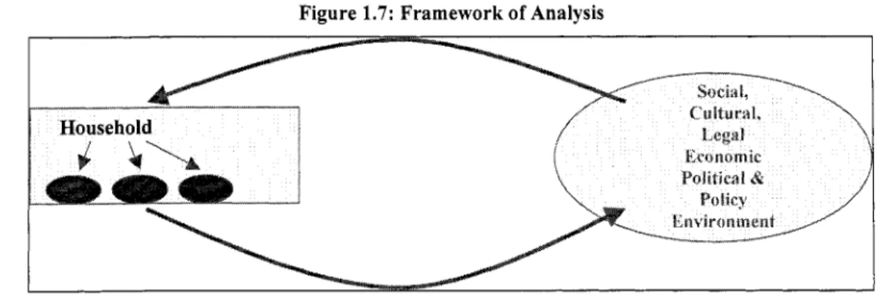 Figure  1.7:  Framework of Analysis 