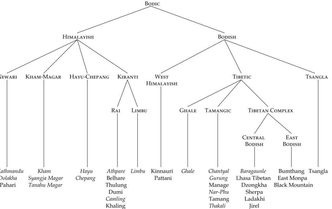 Figure 1: Proposed Genetic Relationships Within the Bodic Section of Tibeto-Burman [names of languages included within the present survey are in italics]