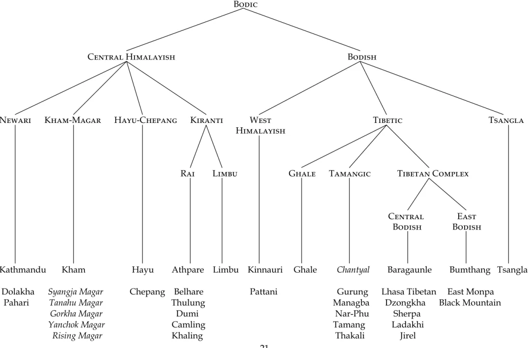 Figure 1: Proposed Genetic Relationships Within the Bodic Section of Tibeto-Burman [names of languages included within the present paper are in italics]