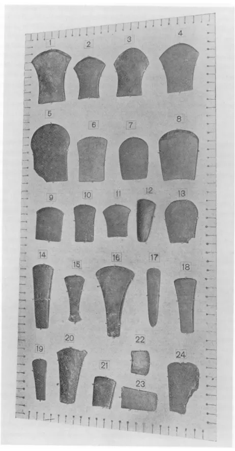Fig. 5 Palstaves collected by A Bloomfield around Narsimhapur 1888-1897  (after Bloomfield)