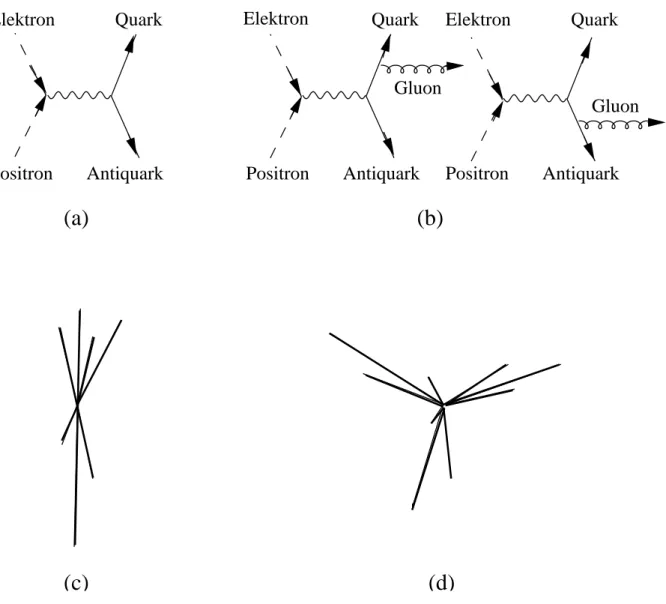 Abbildung 4: Zwei- und Drei-Jet-Ereignisse in der Elektron-Positron Vernichtung. (a) Einfachster Graph f¨ur Zwei-Jet-Ereignisse, (b) Einfachste Graphen f¨ur Drei-Jet-Ereignisse, Quarks und Gluonen werden hier wie reelle Teilchen behandelt; (c,d) die im Z¨a