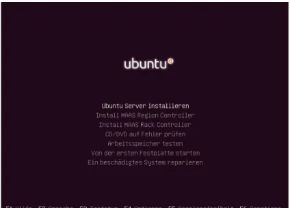Abbildung 2  Auswahl Ububu-Server installieren 