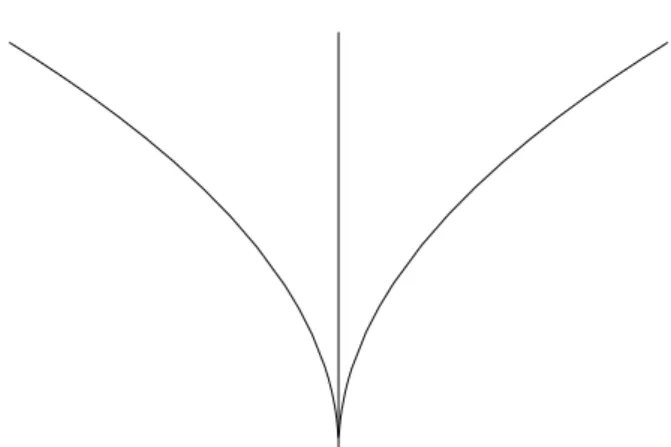 Abbildung 3: f (x) = sin 1 x