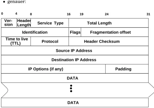 Abbildung 3.11: IP Datagramm - grober Aufbau