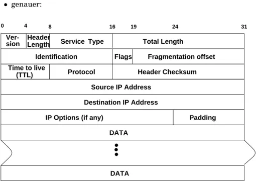 Abbildung 3.11: IP Datagramm - grober Aufbau