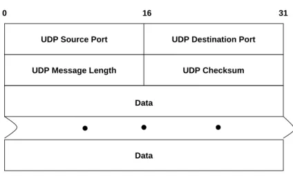 Abbildung 3.14: UDP - Format