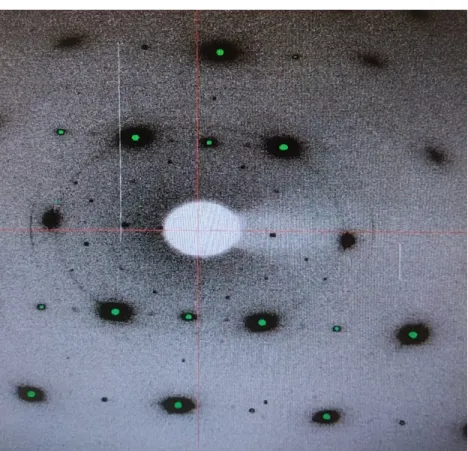 Figure 3.4: 2D detector image used for alignment. Non-aligned high symmetry plane of sample inside a magnet