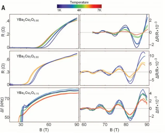 Fig. 2. Quantum oscillations of the magnetoresistance in YBa 2 Cu 3 O 6+δ