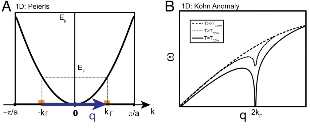 Fig. 2. Properties of the CDW in NbSe 2 . (A) Fermi surface contours (10) with the experimental ~q CDW (16, 17) shown