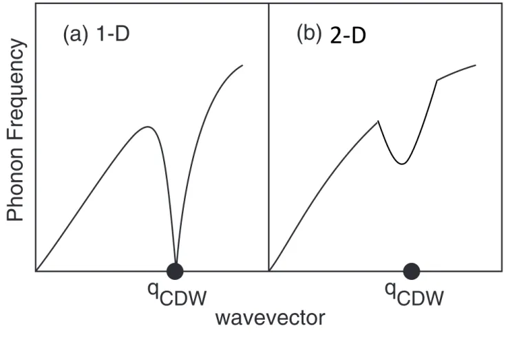 FIG. 1. (a) The expected behavior of the phonon spectrum at T CDW for a one-dimensional metal, where q CDW = 2k F ; this behavior is also seen in systems with higher dimensionality, e.g., the two-dimensional CDW in NbSe 2 