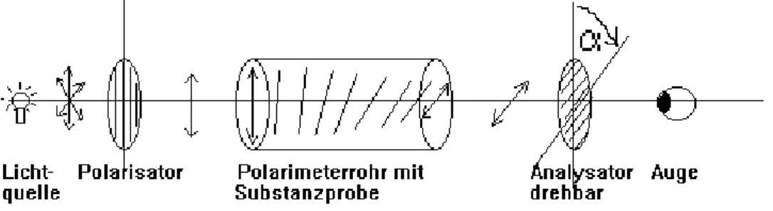 Abbildung 3: Aufbau und Funktion eines Polarimeters. [2]