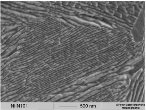 Abbildung   1:   Darstellung   der   Bestimmung   des   Lamellenabstandes.   Hier   befinden   sich   4 Lamellen auf 15 µm.