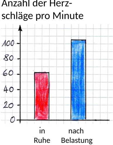 Diagramme lesen: Beispiel