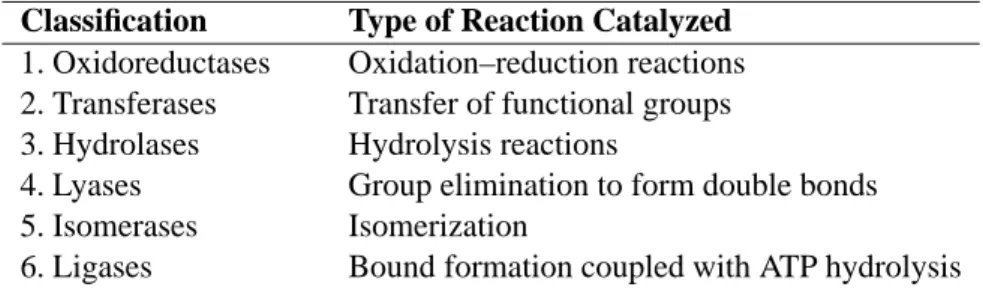 Tabelle 4.3: E NZYME C LASSIFICATION A CCORDING TO R EACTION