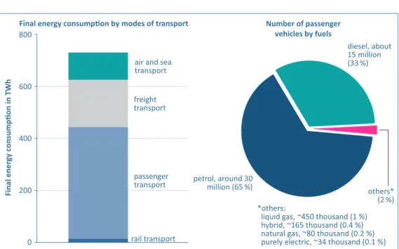 Figure 4: Composition of the final energy demand in the transport sector in 2015 and of the passenger vehicles  sector by fuels