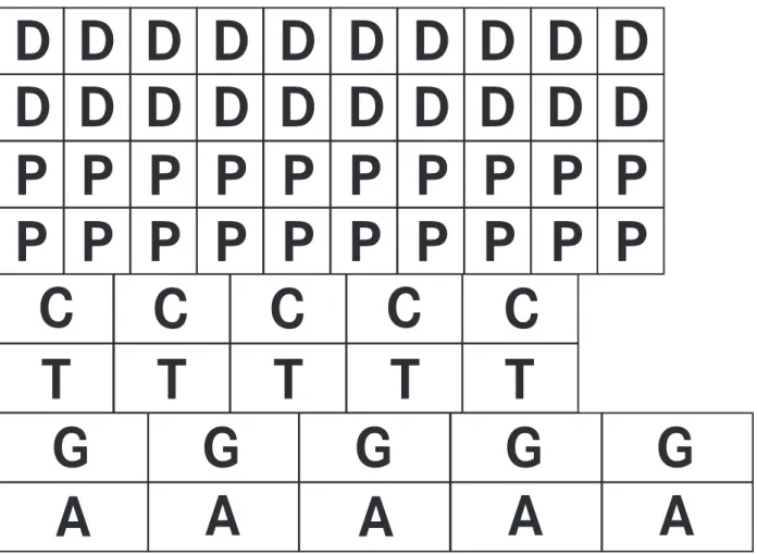 Abbildung 1: Die Puzzleteile der DNA 
