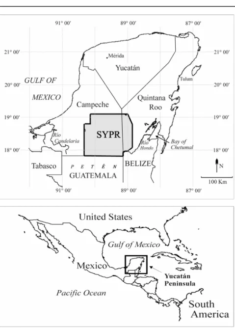 FIGURE 1. The Southern Yucatán Peninsular Region (SYPR)