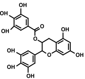 Figur 3. Epigallokatechingallat, ein in Grüntee vorkommendes Polyphenol