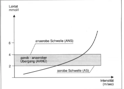 Abb. 7 Laktatkurve mit Laktat-Schwellenbereichen (Zintl 2001, 72)