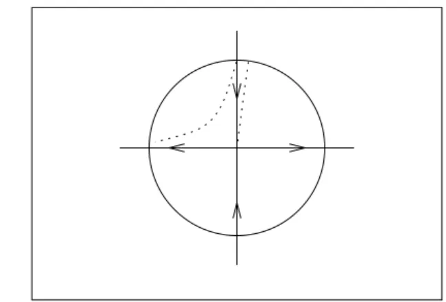 Abbildung 3.3: Dynamik einer numerischen Approximation in der N¨ahe eines Sattels Frage 3: Ist es m¨oglich, die ω -Limesmengen zu vergleichen?