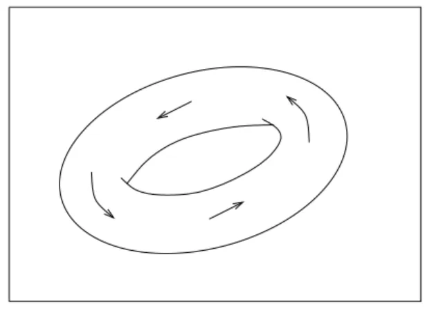 Abbildung 3.6: Invarianter Torus